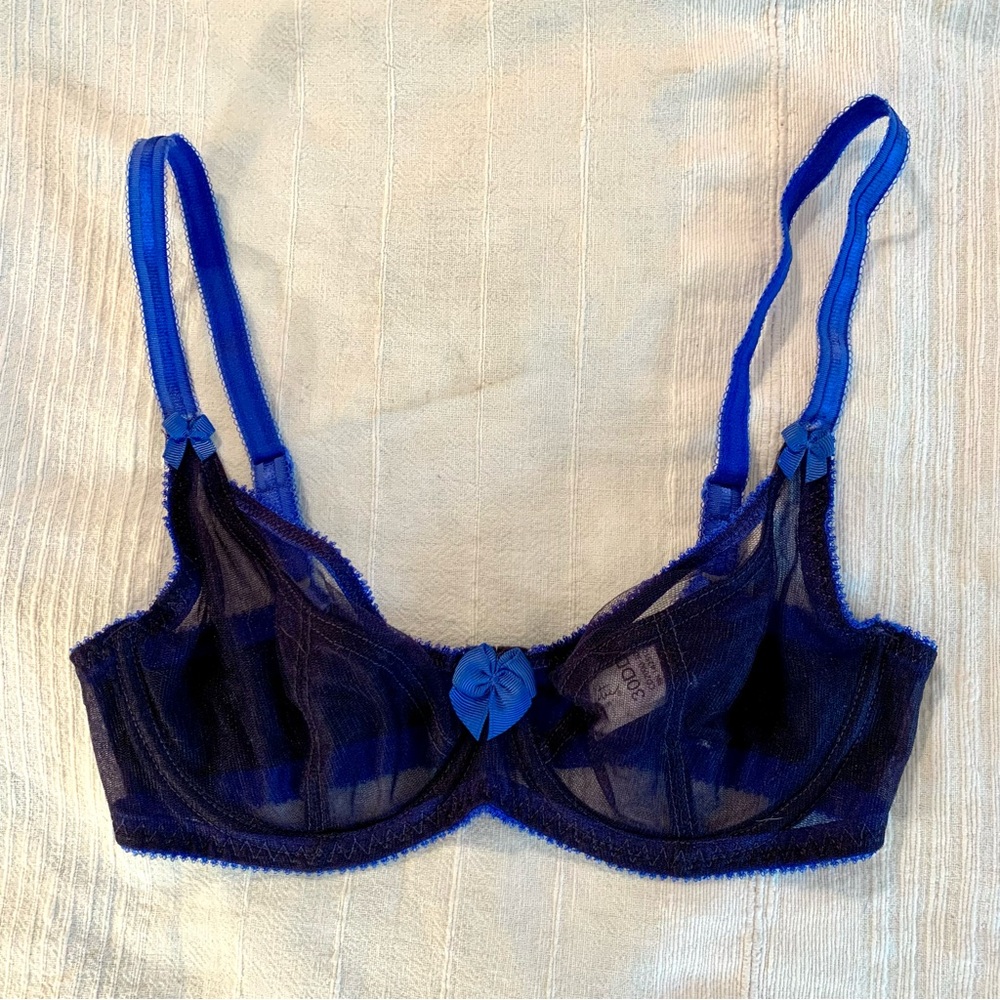 Blue Sheer Underwire Bra with Decorative Bow